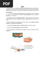 Gota e Pseudogota Resumofisio