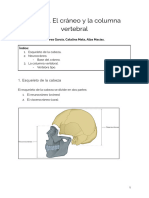 Tema 2 ANATOMIA EL CRANEO