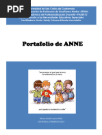 Portafolio Anee