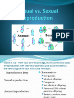 Asexual Vs Sexual Reproduction PowerPoint