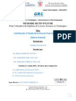 Contribution À L'étude de La Mine de Fluorine de Jbel Tirrimi (Maroc Oriental) - Nadhira MAGRACH