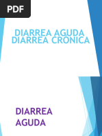 Diarrea Aguda y Cronica