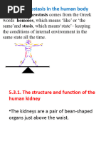 5.3. Homeostasis