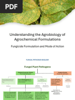 Fungicide Formulation and Mode of Action 1710748609