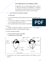 Automatisme Et Anatomie Du Coeur