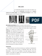 PIE CAVO Comision