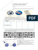 Taller Division Celular Mitosis y Meiosis - 2024