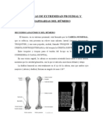 Fracturas de Extremidad Proximal y Diafisarias Del Húmero