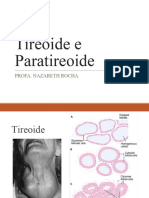 Tireoide e Paratireoide