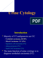 20acca - Urine Cytology