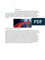 Embriologia Del Sistema Cardiovascular