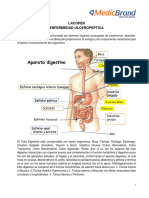 LACOPEN Aparato Digestivo