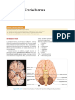 Cranial Nerve