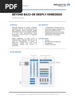 Beyond Ba22-De Datasheet