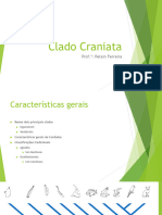 Clado Craniata