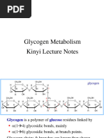 Glycogen Metabolism