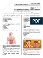 Prova - Sistema Digestório