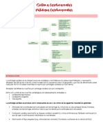 Fisiopatología Cardiovascular