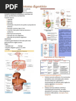 Sistema Digestório - Fisiologia Humana