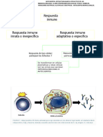 Clase Anticuerpos 2021 Impr