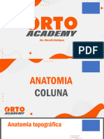 Anatomia Da Coluna