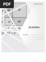 Guía Álgebra de Polinomios Paes