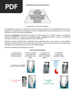 Obturação Dos Canais Radiculares