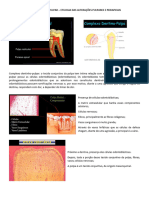 Roteiro de Aula Fisiologia Pulpar e Etiologia Das Alteraçoes Pulpares