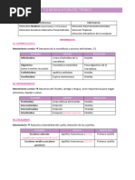 T 6 Anatomia