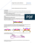 Embryologie Nerveux