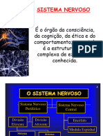 Neurofisiologia 1