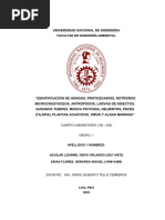 CUARTO LABORATORIO IDENTIFICACIÓN DE Hongos, Protozooarios, Helmintos, Nematodos, Artrópodos Entre Otros GRUPO 1