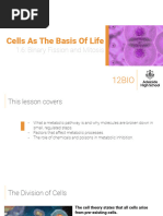 1.6 Binary Fission and Mitosis