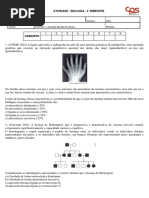 Atividade - Biologia - 4° Bimestre - 2° Ano e 3° B - ETEC - 2023