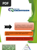 CREDIVISION