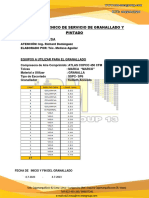 008-0 - P - 03-1 - Informe de Preparacion y Proteccion de Pintura