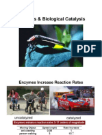 Enzymes & Biological Catalysis