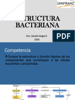 Estructura Bacteriana