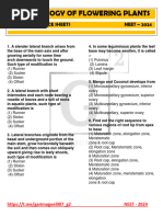 Gold DPP of Morphology of Flowering Plants by Garima Mam