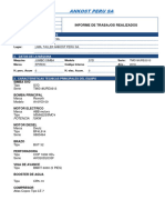 Informe de Trabajos en Equipo Simba S7D