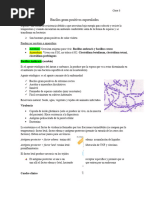 Clase 3. Bacilos Positivos Esporulados