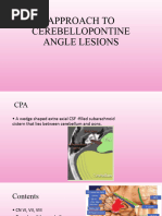 Cerebellopontine Angle Tumors