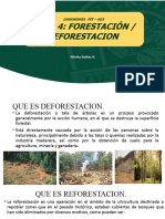 DASONOMIA - Tema 4.1 Reforestacion - Forestacion