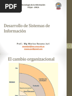 8-Desarrollo SI