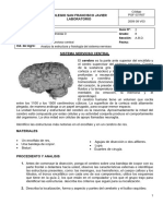 Guia 2 Laboratorio Biologia 8 PDF