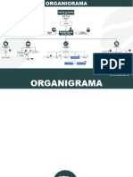 ORGANIGRAMA