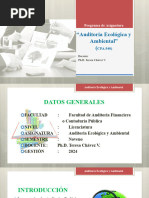 Programa de Auditoria