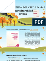 6 . Sesión Del Cte. Interculturalidad Crítica