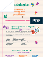 Metodologías de Campos Formativos