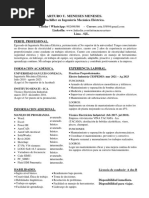 CV - Arturo Meneses. P